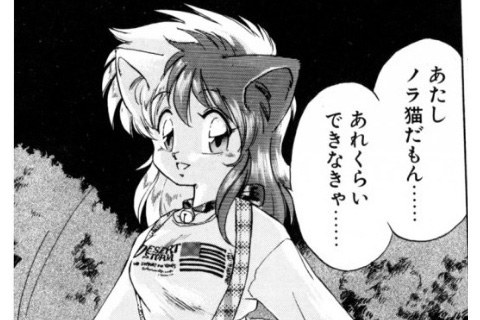 猫耳といえば…