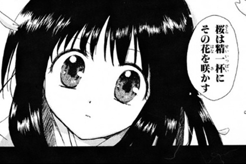 桜の季節に、木曾義高と大姫