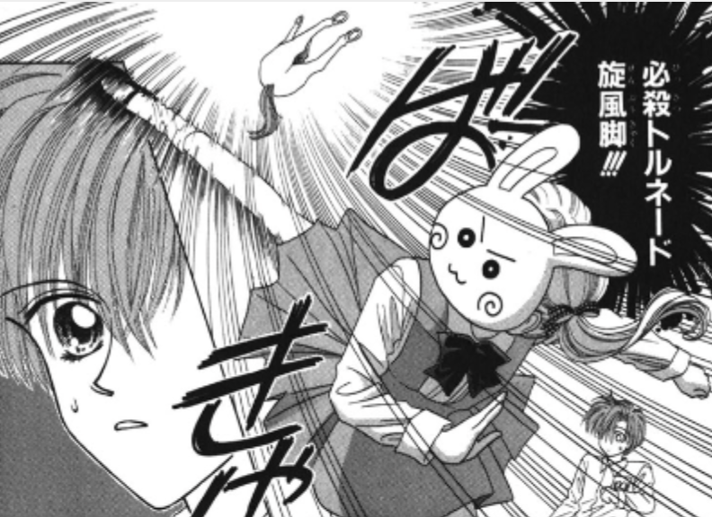 普通な恋がしたいけど…拳法家少女と学園の王子様のバトルラブコメ