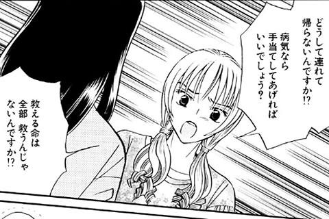 保護犬、保護猫のシェルターってどんなところ？厳しさと優しさで紡ぐ物語